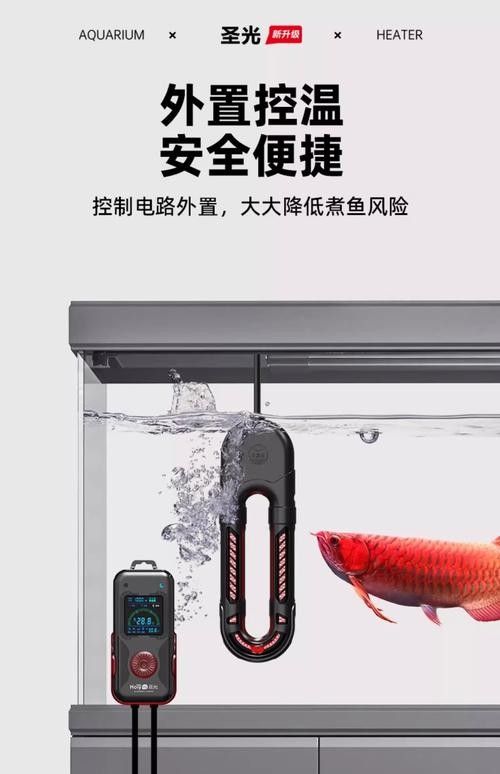 紅龍魚黑缸飼養需要哪些設備？ 紅龍魚黑缸飼養需要哪些設備？ 龍魚百科 第1張