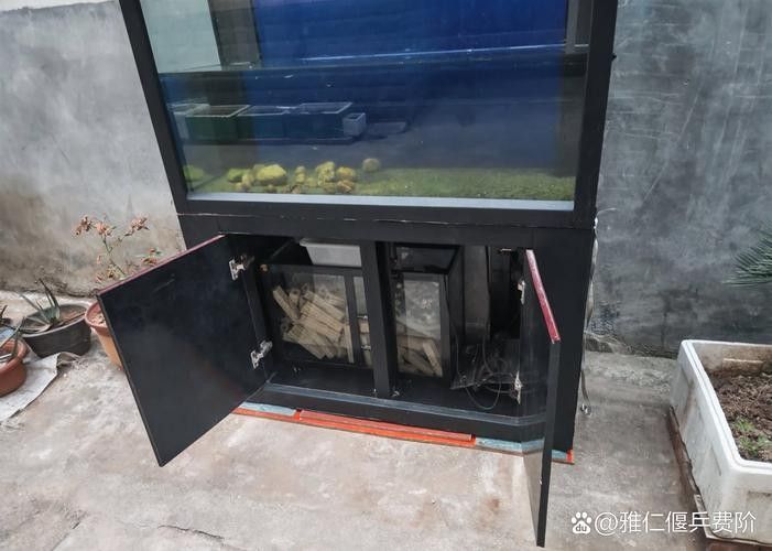 紅龍魚黑缸飼養需要哪些設備？ 紅龍魚黑缸飼養需要哪些設備？ 龍魚百科 第20張