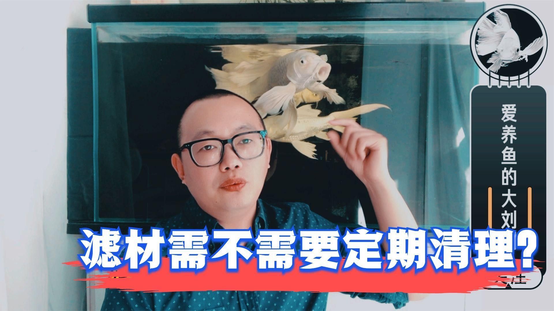 底濾魚缸濾材多久清洗一次