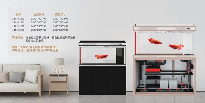 彩蝶龍魚缸有哪些型號(hào)可選？（彩蝶魚缸型號(hào)及特點(diǎn)）