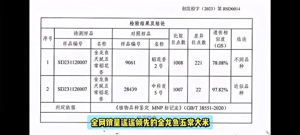 金龍魚收購水稻有哪些品種（金龍魚在五常地區收購的水稻品種）