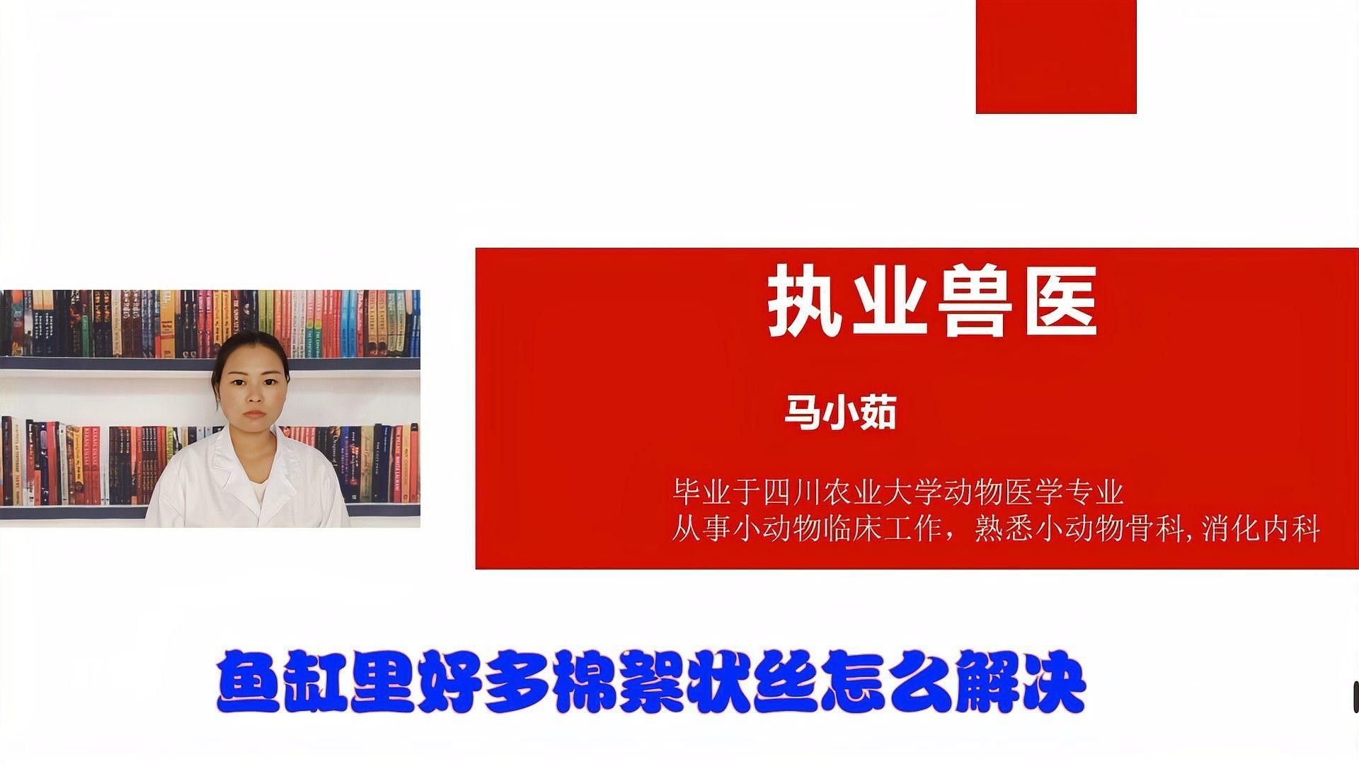 龍魚缸白色絮狀物如何去除 龍魚缸白色絮狀物如何去除 龍魚百科 第2張