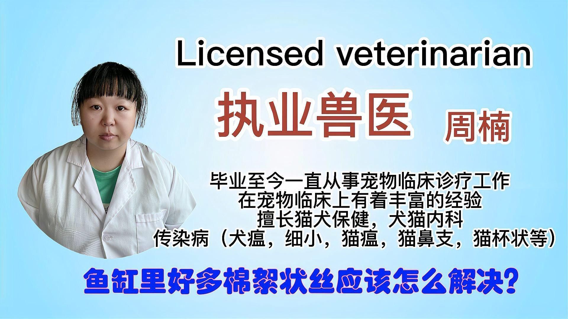 龍魚缸白色絮狀物如何去除 龍魚缸白色絮狀物如何去除 龍魚百科 第3張