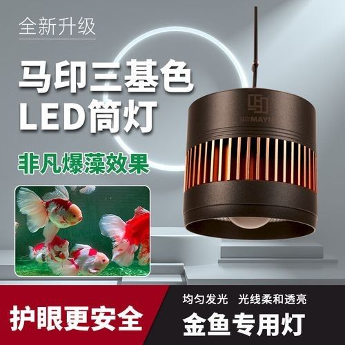 馬印神燈的具體型號有哪些（馬印神燈幾種常見型號）