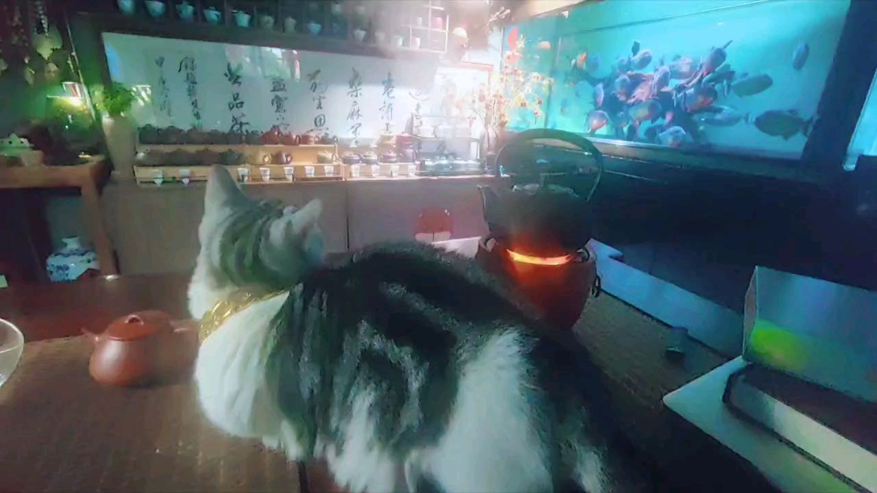 魚全死光的寂寞……（海洋生態系統中魚類數量減少的原因）