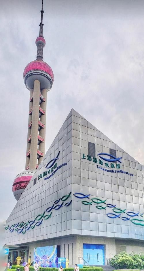 龍虎匯水族館的營業時間是（上海海洋水族館去哪兒攻略）