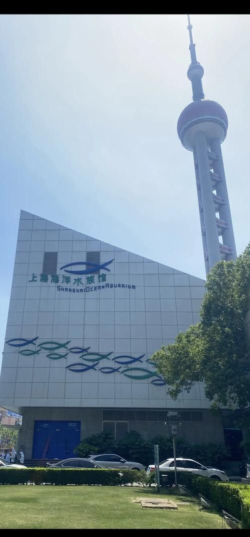 龍虎匯水族館的營業時間是（上海海洋水族館去哪兒攻略）