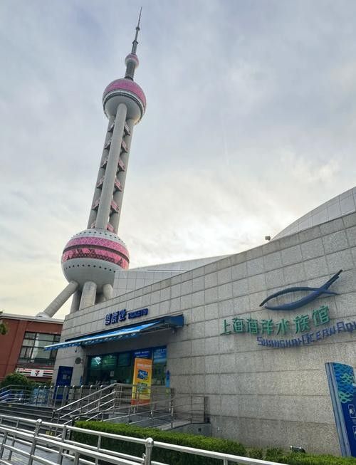 龍虎匯水族館的營業時間是（上海海洋水族館去哪兒攻略）