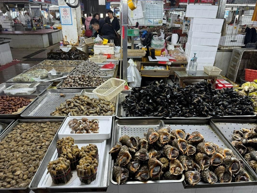 如何聯系到城陽區的水族店？（青島城陽區水族店如何聯系）