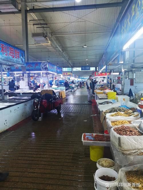 如何聯系到城陽區的水族店？（青島城陽區水族店如何聯系）