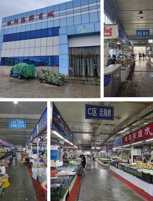 如何聯系到城陽區的水族店？（青島城陽區水族店如何聯系）