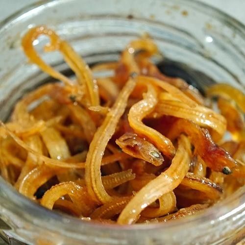 古龍魚罐頭如何保存？（古龍魚罐頭開封后如何保存） 古龍魚罐頭如何保存？（古龍魚罐頭開封后如何保存） 龍魚百科 第1張