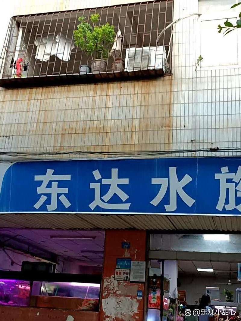 南山哪個(gè)水族館龍魚(yú)好？祥龍魚(yú)場(chǎng)龍魚(yú)（南山水族館祥龍魚(yú)場(chǎng)）