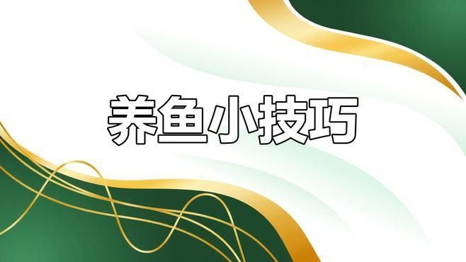 金龍魚蒙眼病的治療方法