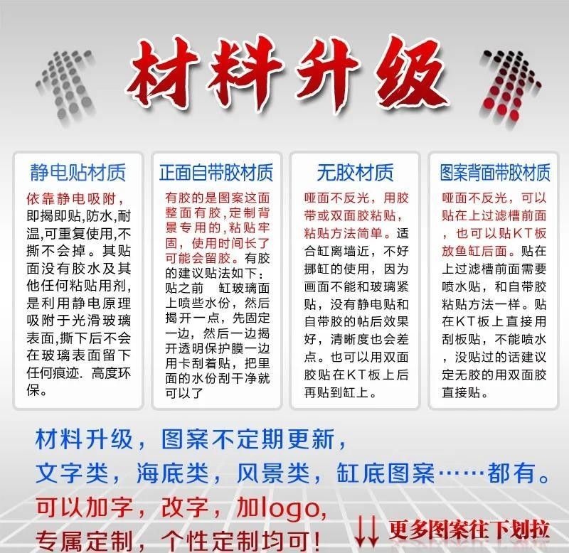 哪種底色最適合新手飼養