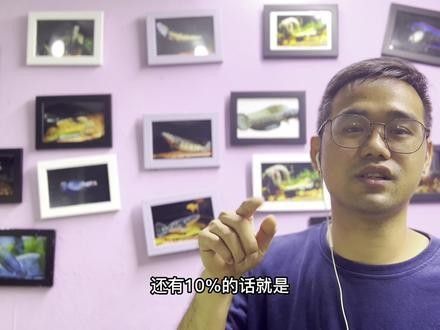 上海龍魚大賽的未來發展方向（上海龍魚大賽未來發展方向） 上海龍魚大賽的未來發展方向（上海龍魚大賽未來發展方向） 龍魚百科 第5張