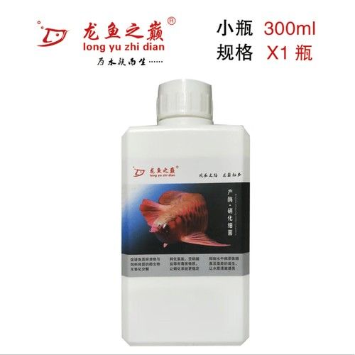 龍魚之巔商城有哪些熱銷商品（龍魚之巔商城熱銷商品）
