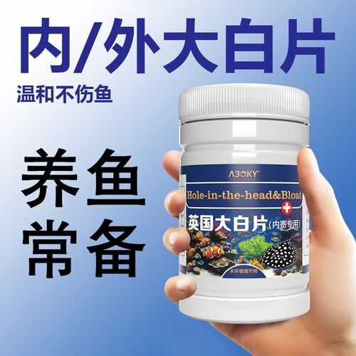 A30KY有哪些核心產(chǎn)品 A30KY有哪些核心產(chǎn)品 龍魚百科 第1張