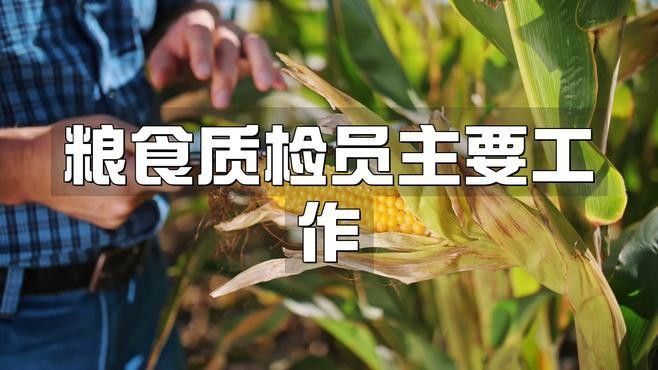 如何申請(qǐng)金龍魚(yú)質(zhì)量檢驗(yàn)崗位（如何申請(qǐng)金龍魚(yú)質(zhì)量檢驗(yàn)崗位金龍魚(yú)質(zhì)量檢驗(yàn)崗位） 如何申請(qǐng)金龍魚(yú)質(zhì)量檢驗(yàn)崗位（如何申請(qǐng)金龍魚(yú)質(zhì)量檢驗(yàn)崗位金龍魚(yú)質(zhì)量檢驗(yàn)崗位） 龍魚(yú)百科 第3張