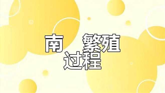 如何人工繁殖南鱧？（人工繁殖南鱧的基本步驟） 如何人工繁殖南鱧？（人工繁殖南鱧的基本步驟） 龍魚百科 第1張