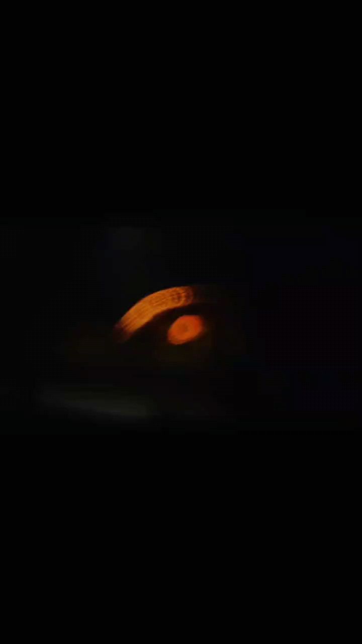神龍出龕（關(guān)于神龍出龕的一段話）