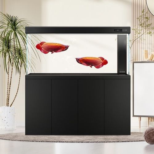 給我推薦一些高端龍魚缸品牌（漢霸大型龍魚缸家用辦公室智能魚缸品牌推薦：高端龍魚缸） 給我推薦一些高端龍魚缸品牌（漢霸大型龍魚缸家用辦公室智能魚缸品牌推薦：高端龍魚缸） 龍魚百科 第7張