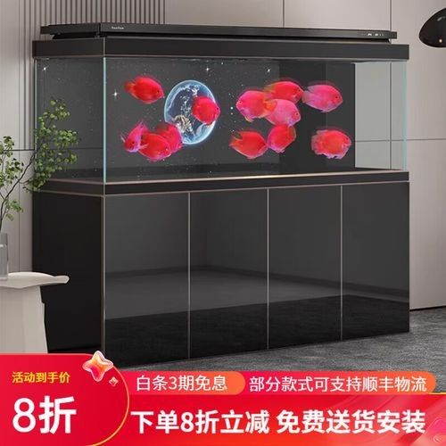 給我推薦一些高端龍魚缸品牌（漢霸大型龍魚缸家用辦公室智能魚缸品牌推薦：高端龍魚缸） 給我推薦一些高端龍魚缸品牌（漢霸大型龍魚缸家用辦公室智能魚缸品牌推薦：高端龍魚缸） 龍魚百科 第2張
