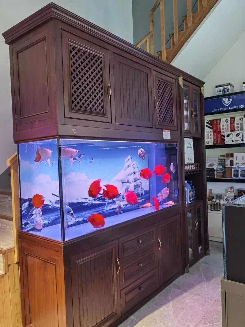 給我推薦一些高端龍魚缸品牌（漢霸大型龍魚缸家用辦公室智能魚缸品牌推薦：高端龍魚缸） 給我推薦一些高端龍魚缸品牌（漢霸大型龍魚缸家用辦公室智能魚缸品牌推薦：高端龍魚缸） 龍魚百科 第12張