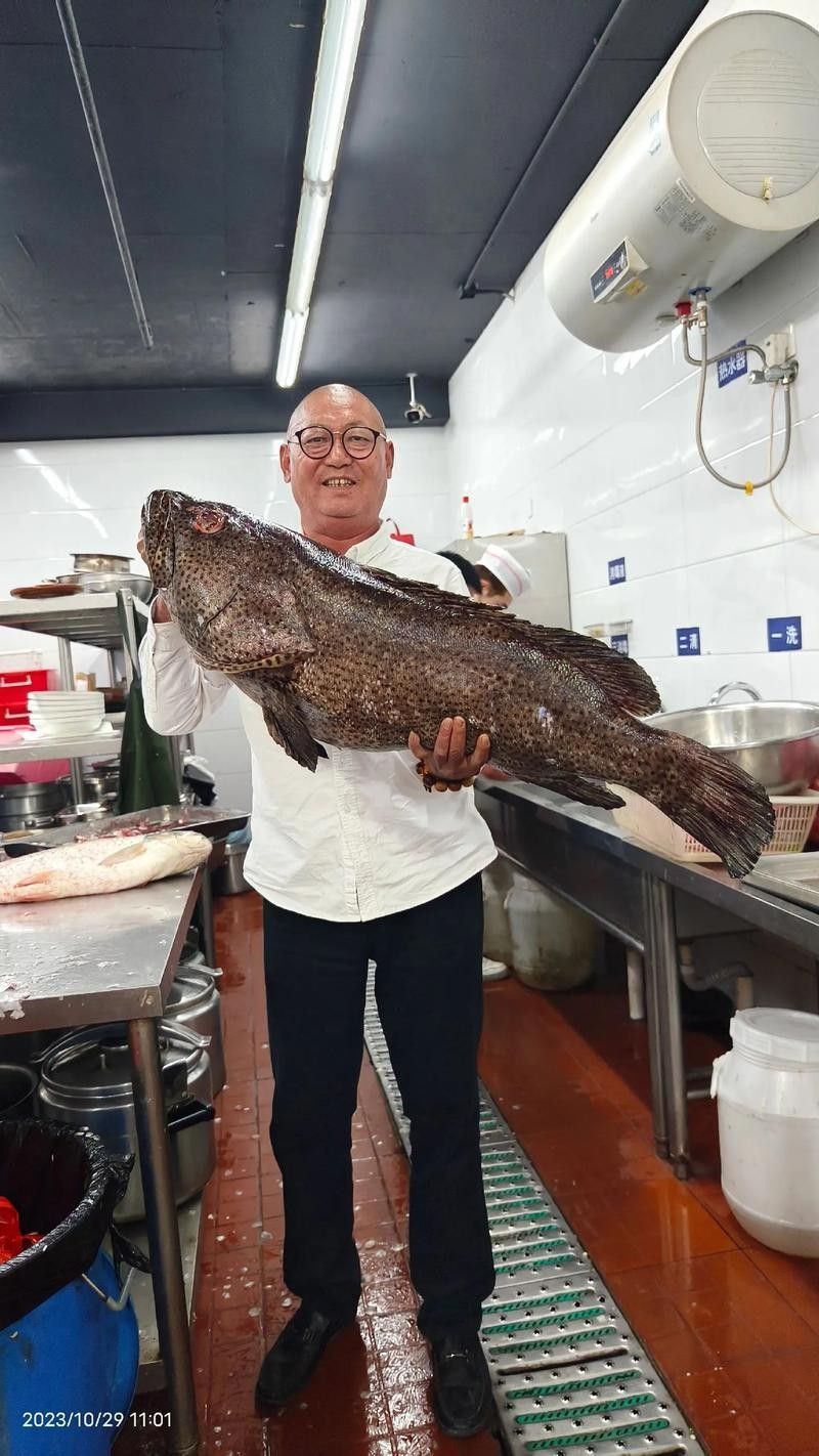 北海龍魚的價格范圍是多少?(北海龍魚價格波動大嗎北海龍魚價格波動大嗎) 龍魚百科 第5張 北海龍魚的價格范圍是多少?(北海龍魚價格波動大嗎北海龍魚價格波動大嗎) 北海龍魚的價格范圍是多少?(北海龍魚價格波動大嗎北海龍魚價格波動大嗎) 龍魚百科 第5張