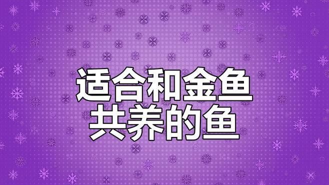 有哪些魚可以與金魚混養（金魚性情溫和，行動緩慢，適合與體型相近、習性溫和的魚類混養） 有哪些魚可以與金魚混養（金魚性情溫和，行動緩慢，適合與體型相近、習性溫和的魚類混養） 龍魚百科 第2張