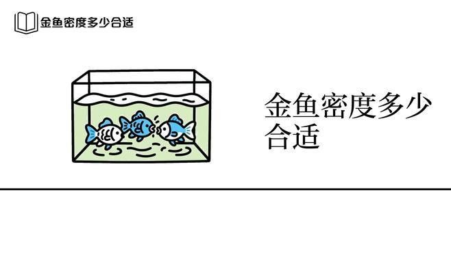 有哪些魚可以與金魚混養（金魚性情溫和，行動緩慢，適合與體型相近、習性溫和的魚類混養） 有哪些魚可以與金魚混養（金魚性情溫和，行動緩慢，適合與體型相近、習性溫和的魚類混養） 龍魚百科 第3張