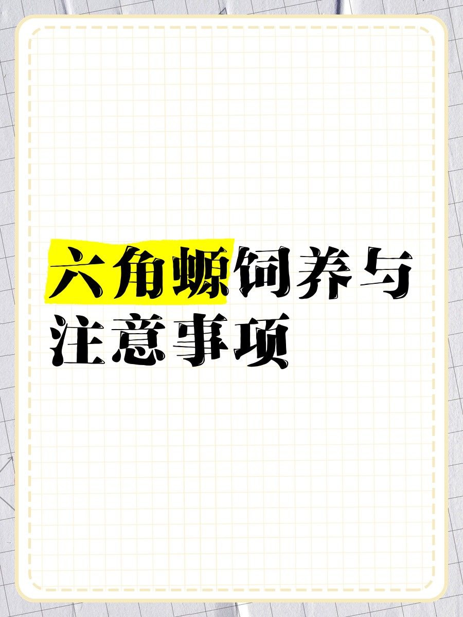 六角恐龍多久換一次水？（六角恐龍多久換一次水） 六角恐龍多久換一次水？（六角恐龍多久換一次水） 龍魚百科 第8張