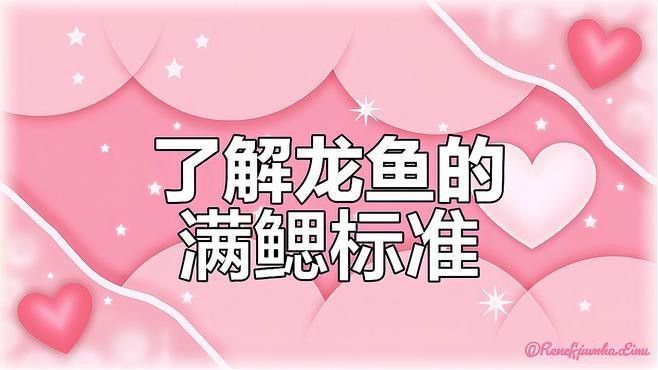 龍魚的飼養(yǎng)方法，關(guān)于龍魚的飼養(yǎng)