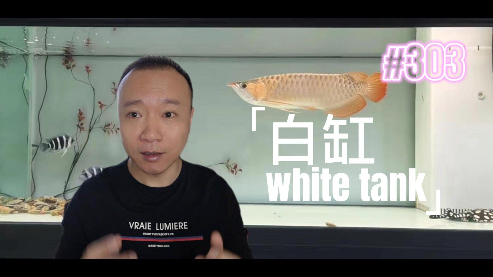 龍魚退垢期如何處理（龍魚退垢期的處理方法）
