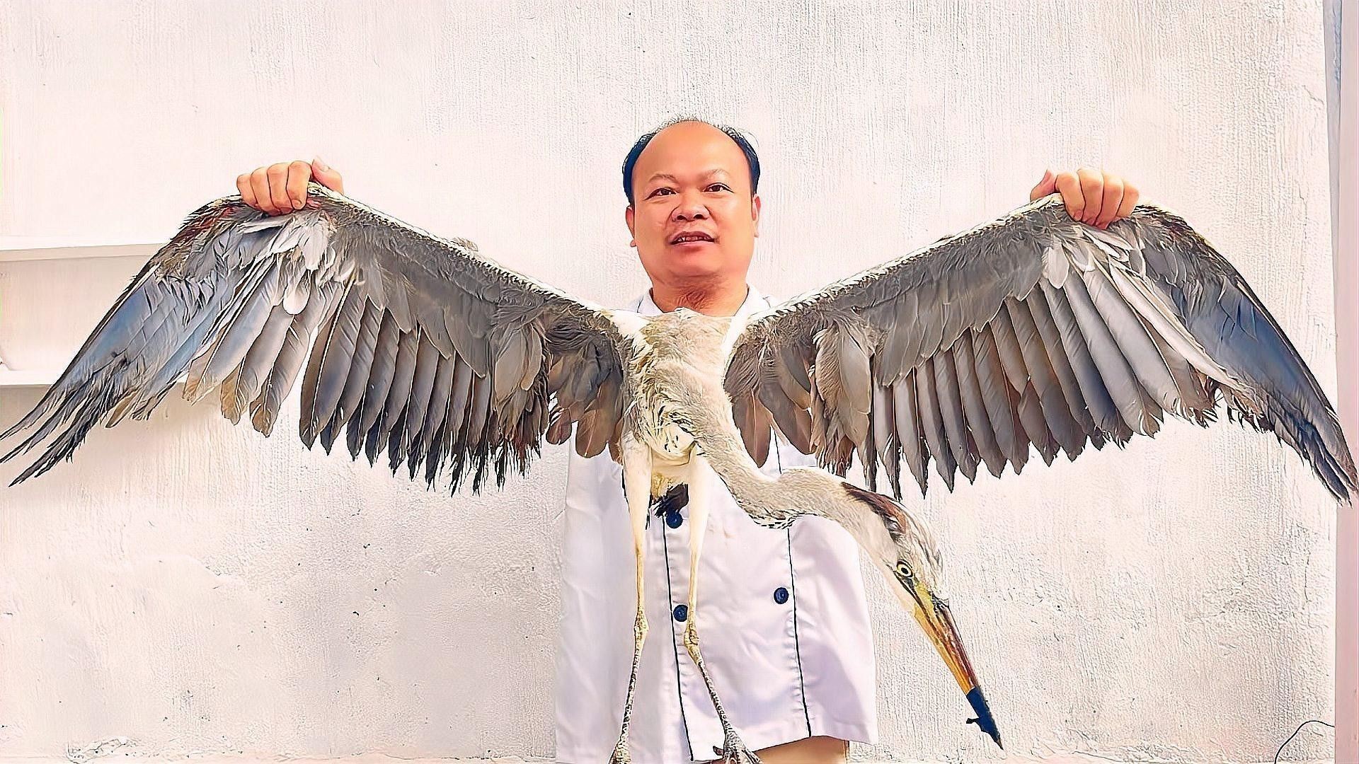 簕古葉如何裝飾擺盤？（如何用簕古葉來裝飾擺盤） 簕古葉如何裝飾擺盤？（如何用簕古葉來裝飾擺盤） 龍魚百科 第5張