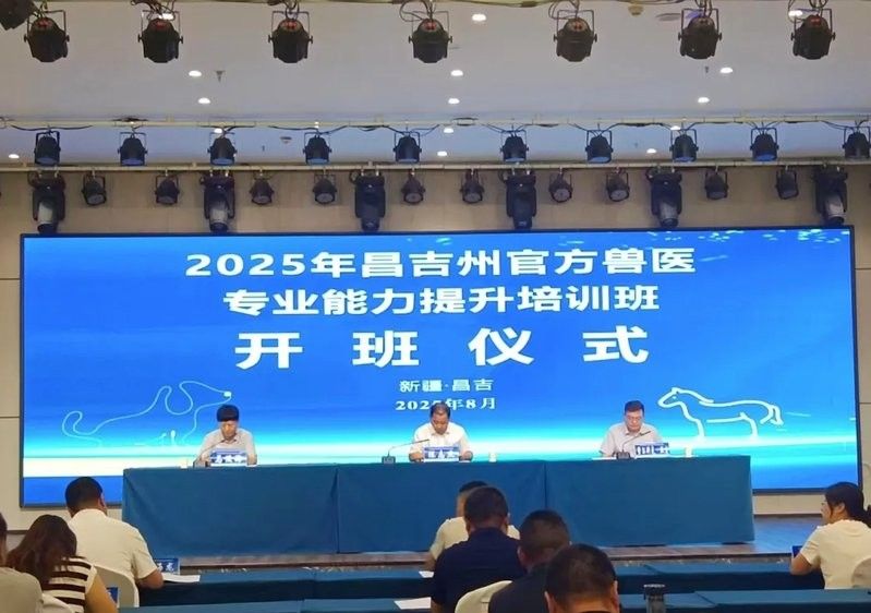 昌吉回族自治州有龍魚養殖的潛力嗎？（吉回族自治州龍魚養殖需要考慮多個因素，昌<strong><mark>吉州</mark></strong>有哪些成功的養殖案例）