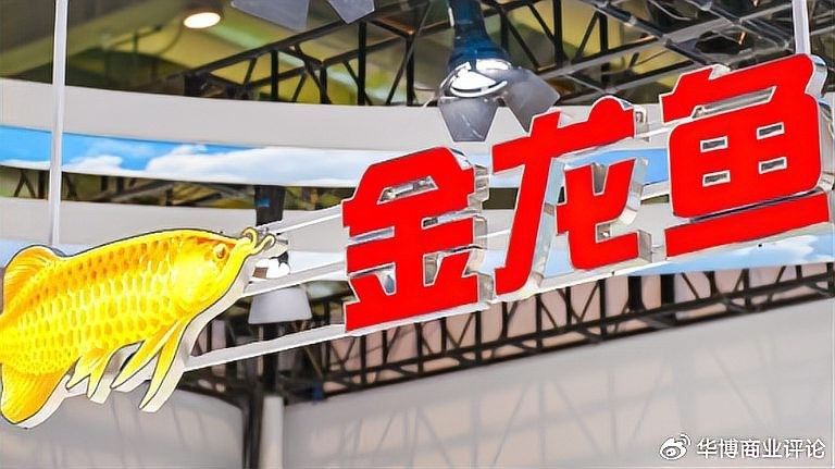 金龍魚如何優(yōu)化銷售費(fèi)用（市值蒸發(fā)6000億） 金龍魚如何優(yōu)化銷售費(fèi)用（市值蒸發(fā)6000億） 龍魚百科 第4張