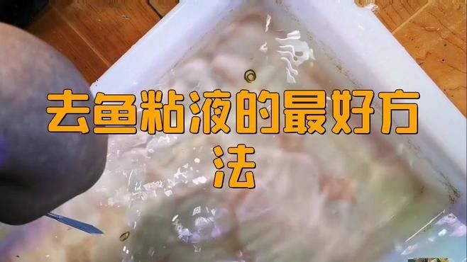 如何處理天山龍魚的粘液和硬鱗（天山龍魚粘液和硬鱗的處理方法）