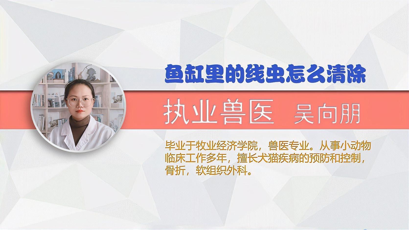 如何預防龍魚缸里的白色線蟲？（如何有效預防魚缸里的白色線蟲）