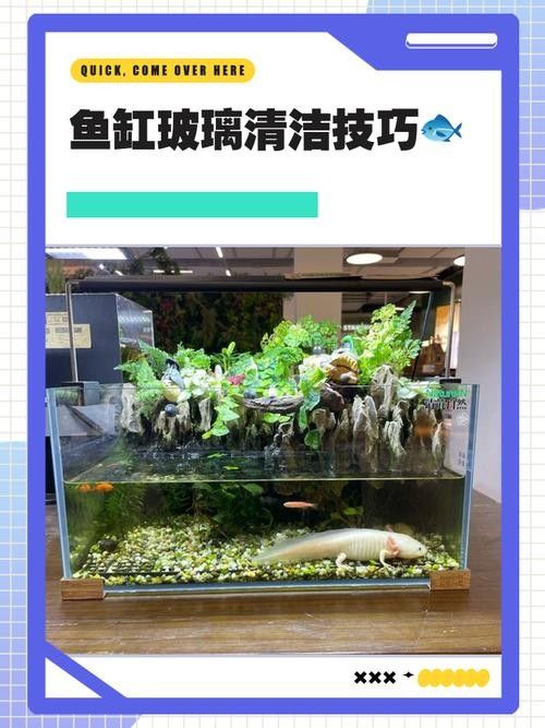 如何預防龍魚缸里的白色線蟲？（如何有效預防魚缸里的白色線蟲）