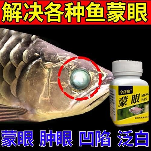 龍魚(yú)充血和刮傷后應(yīng)該如何護(hù)理（養(yǎng)魚(yú)老道，龍魚(yú)受傷恢復(fù)全攻略，水質(zhì)調(diào)節(jié)與護(hù)理技巧數(shù)字音符） 龍魚(yú)充血和刮傷后應(yīng)該如何護(hù)理（養(yǎng)魚(yú)老道，龍魚(yú)受傷恢復(fù)全攻略，水質(zhì)調(diào)節(jié)與護(hù)理技巧數(shù)字音符） 龍魚(yú)百科 第5張