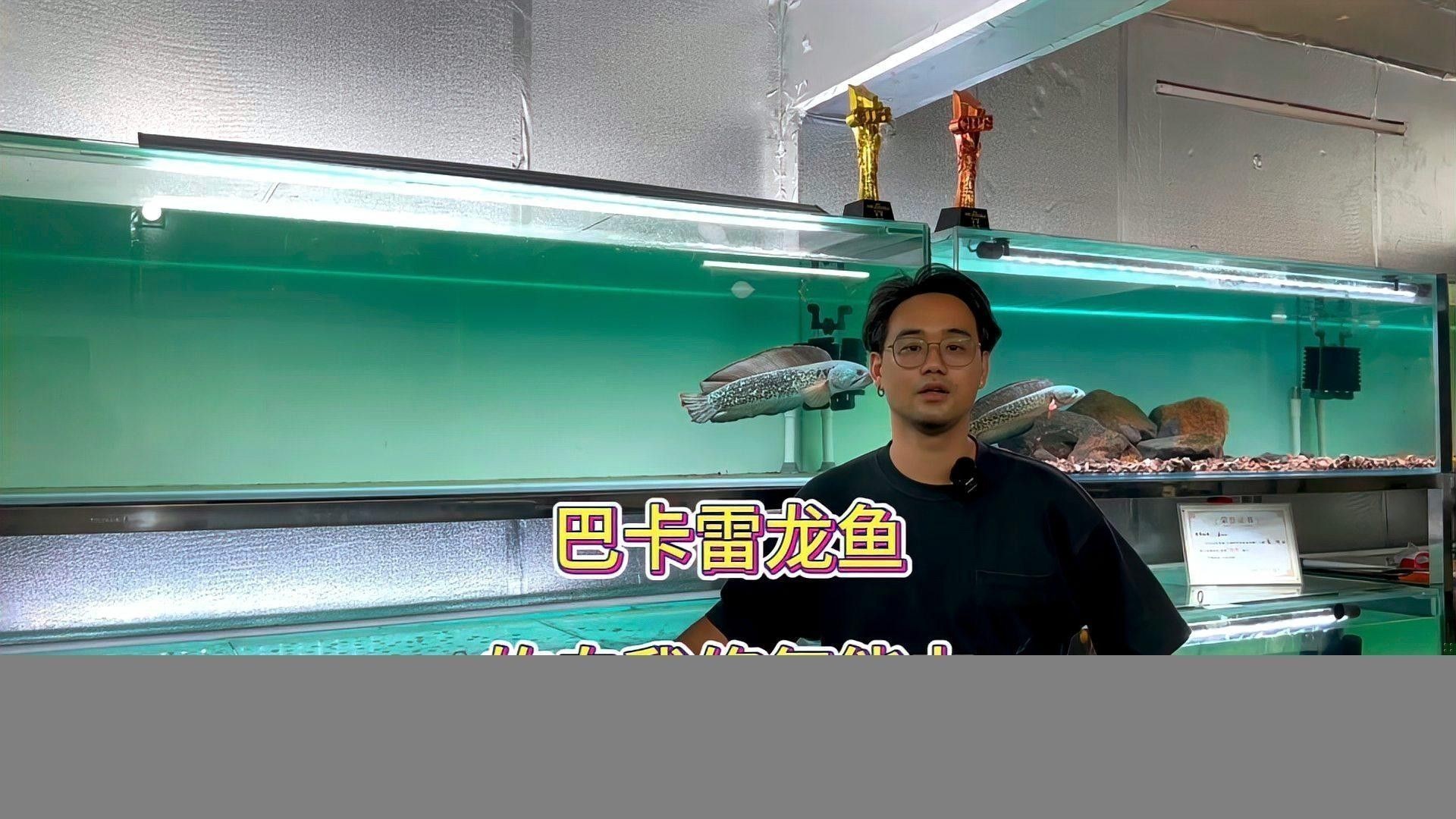 雷龍魚發(fā)白會(huì)自愈嗎