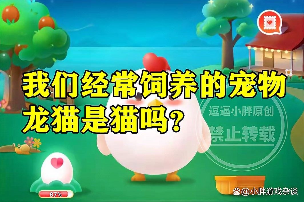 哪些寵物貓不適合與龍貓一起養（哪些寵物貓適合與龍貓一起養？）