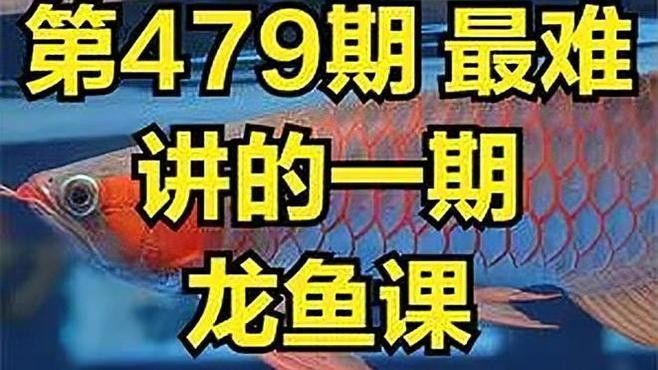 如何保持紅龍魚發(fā)色？（如何保持紅龍魚的發(fā)色） 如何保持紅龍魚發(fā)色？（如何保持紅龍魚的發(fā)色） 龍魚百科 第3張