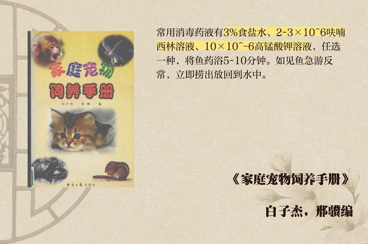 隔離期間如何給龍魚消毒？（隔離期間給龍魚消毒是一個(gè)重要步驟以確保它們的健康和安全）