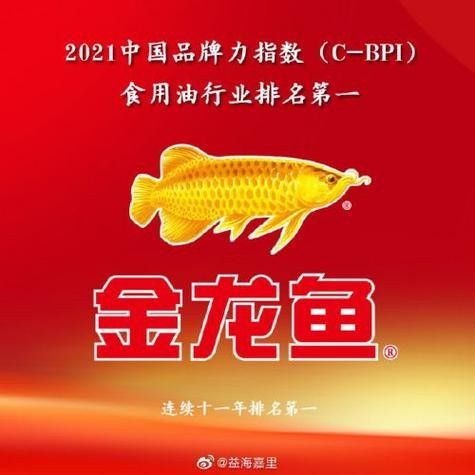 金龍魚萬圣節營銷海報高清版（金龍魚萬圣節營銷海報高清版發布金龍魚萬圣節營銷海報）