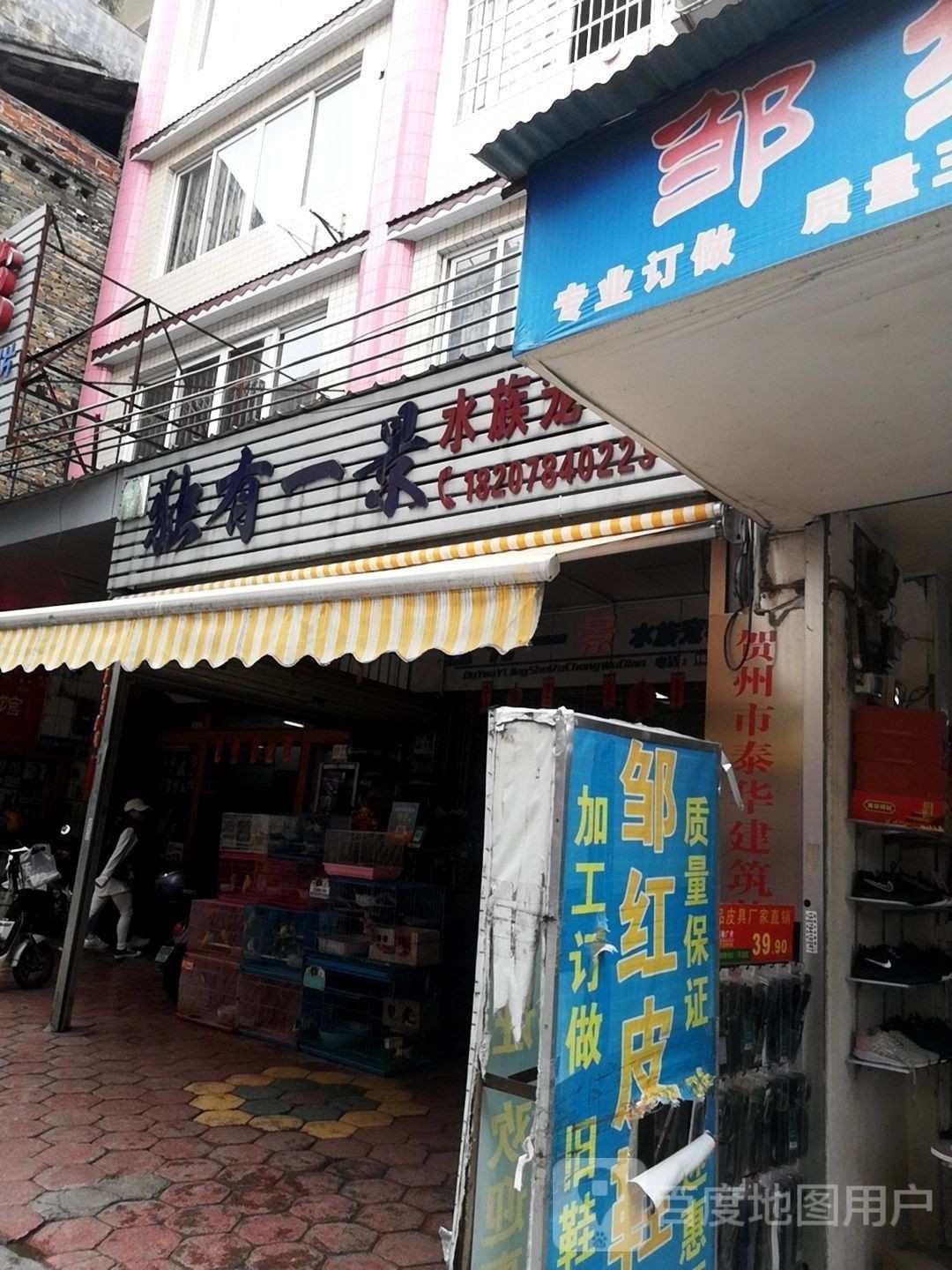 <strong><mark>八步</mark></strong>哪個水族館龍魚好？祥龍魚場龍魚（<strong><mark>八步</mark></strong>哪個水族館的龍魚好）