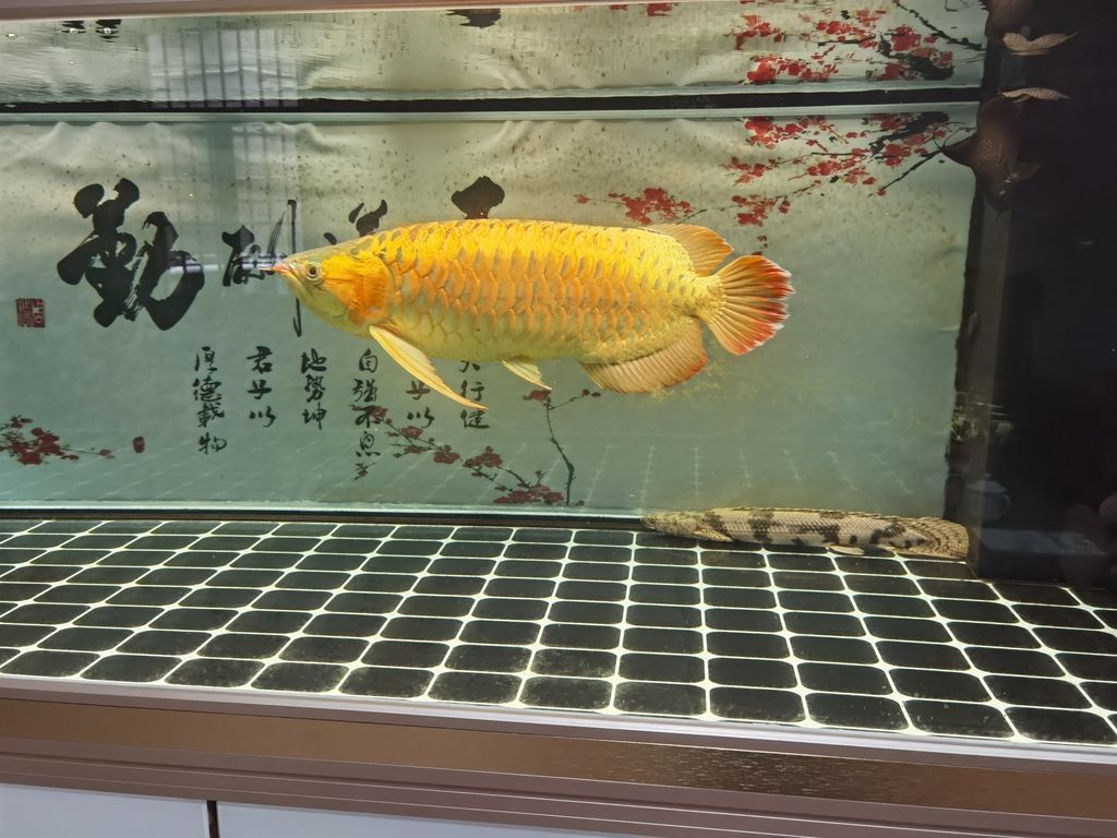 （全球變暖與氣候變化）