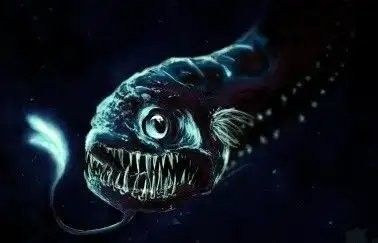 深海龍魚有哪些天敵？（哪些生物可能對深海龍魚構成威脅？）