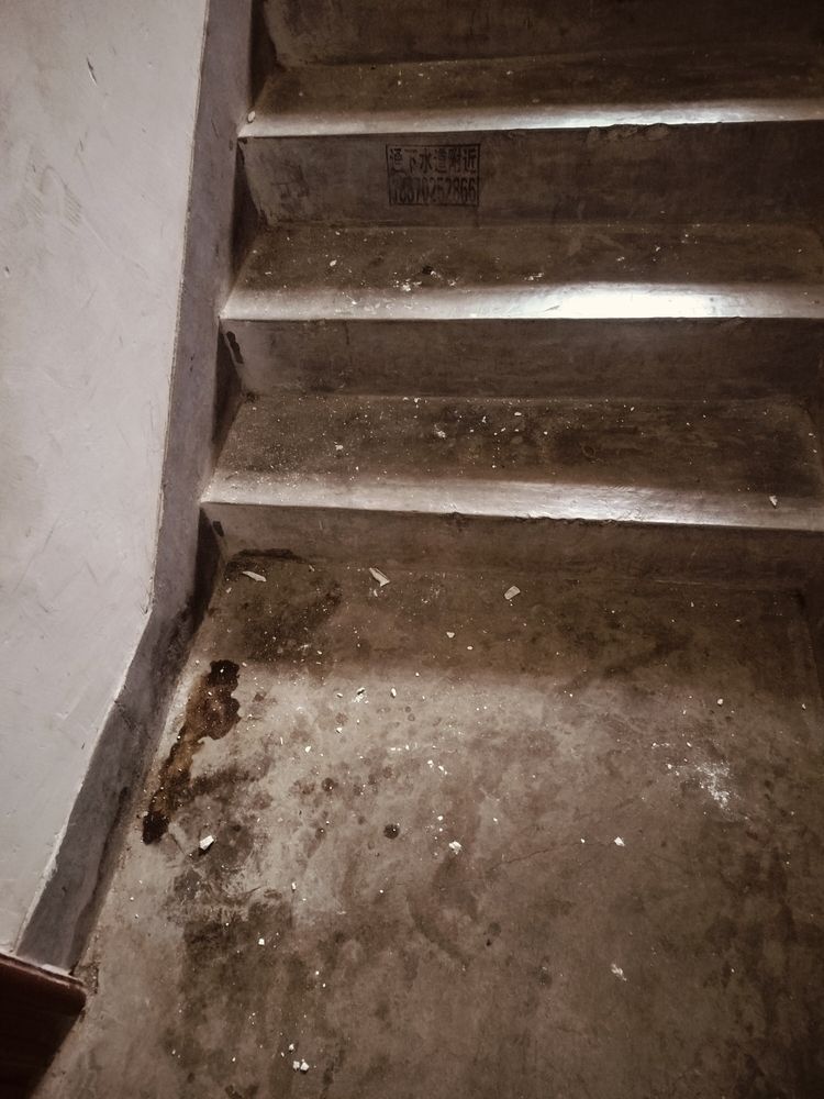 需要整整環境了（全球性環境問題如何應對） 需要整整環境了（全球性環境問題如何應對） 龍魚論壇